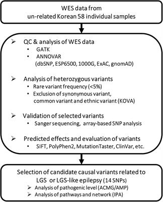 Characteristics of Genetic Variations Associated With Lennox-Gastaut Syndrome in Korean Families